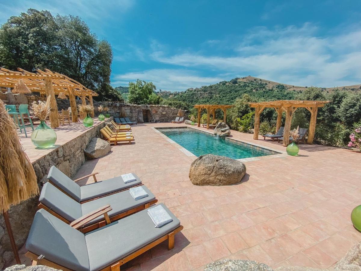 Residence De Luxe 4 Etoiles A Pietralba, 4 Logements Piscine Chauffee Balagne ภายนอก รูปภาพ