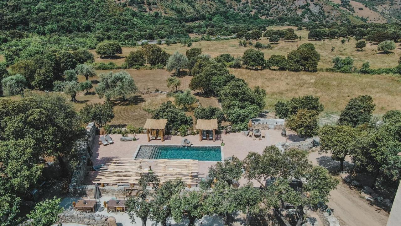 Residence De Luxe 4 Etoiles A Pietralba, 4 Logements Piscine Chauffee Balagne ภายนอก รูปภาพ