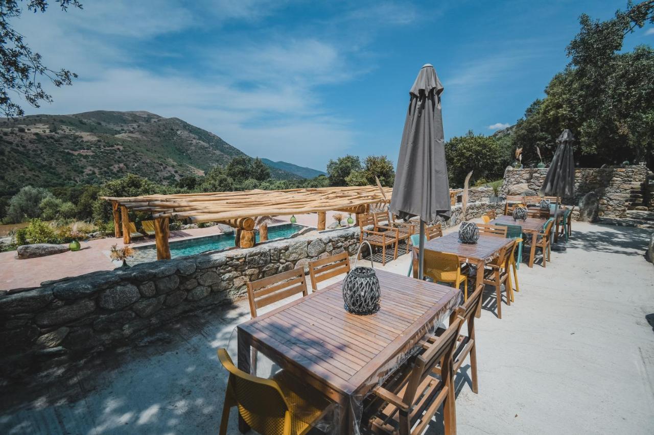 Residence De Luxe 4 Etoiles A Pietralba, 4 Logements Piscine Chauffee Balagne ภายนอก รูปภาพ