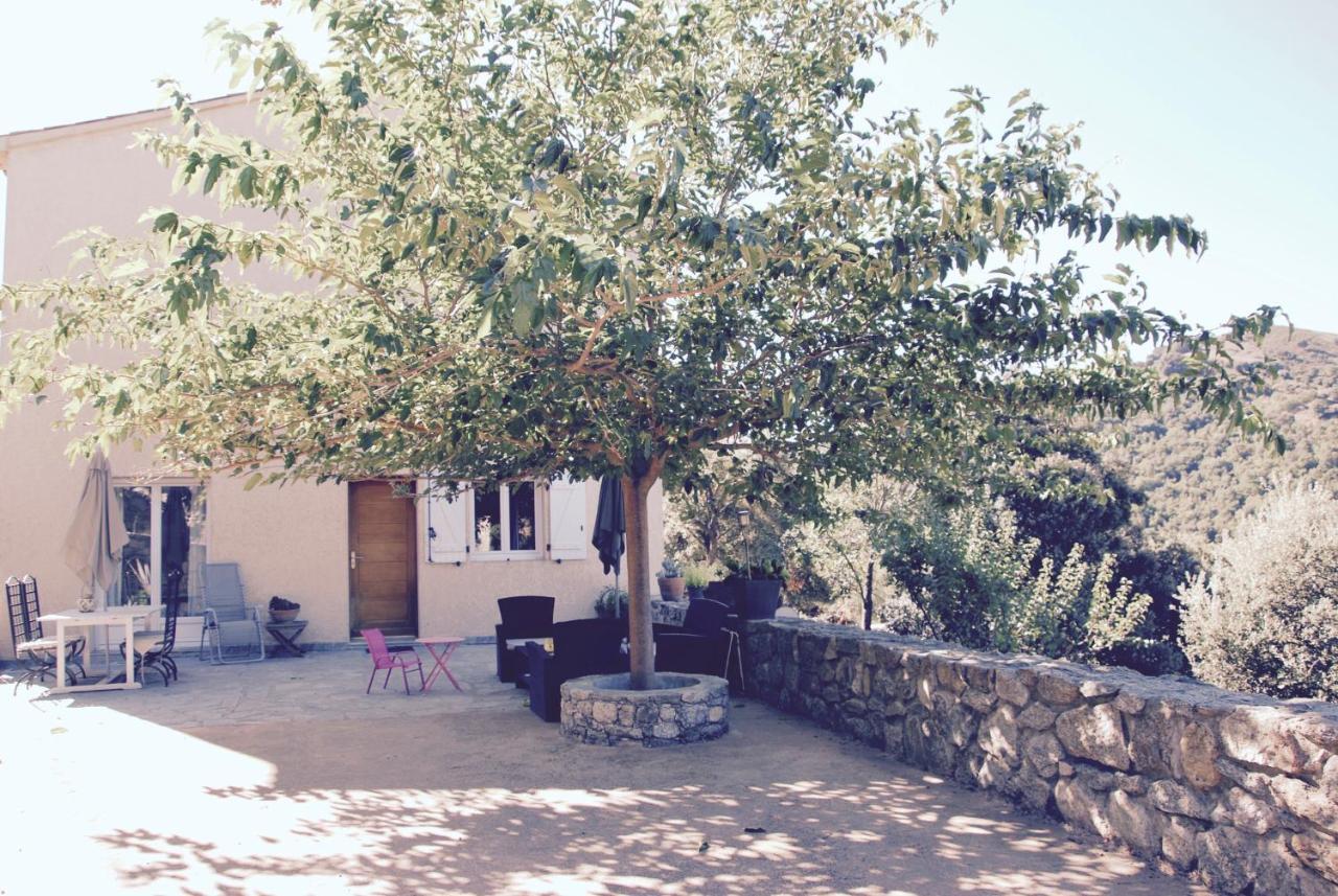 Residence De Luxe 4 Etoiles A Pietralba, 4 Logements Piscine Chauffee Balagne ภายนอก รูปภาพ
